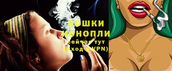 спиды Михайлов