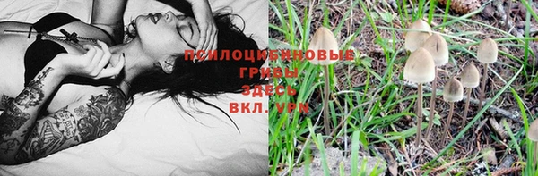mdpv Михайловск
