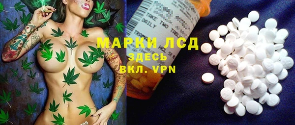 спиды Михайлов