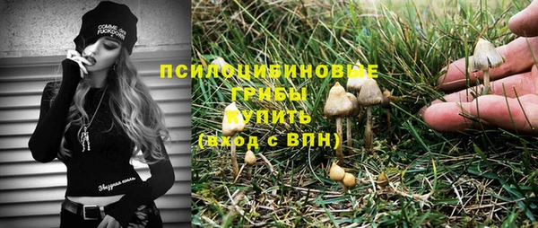 СК Михайловка