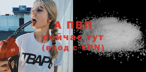 спиды Михайлов