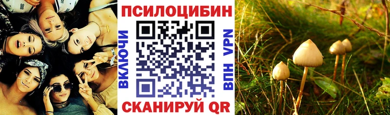 площадка наркотические препараты Цоци-Юрт Галлюциногенные грибы мухоморы